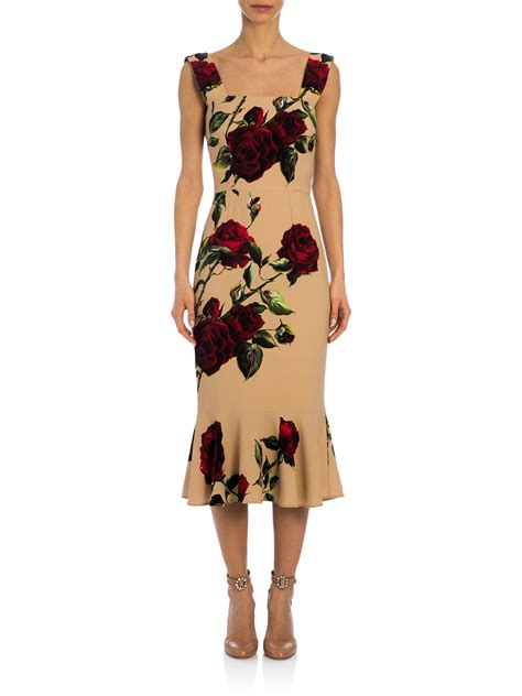 dolce gabbana rose print midi dress